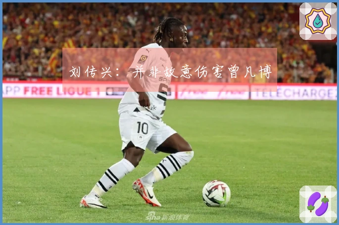 刘传兴：并非故意伤害曾凡博