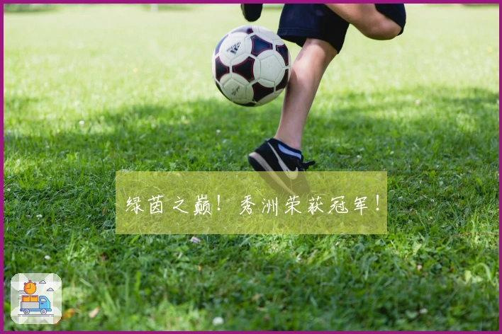 绿茵之巅！秀洲荣获冠军！