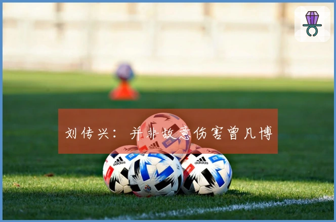 刘传兴：并非故意伤害曾凡博