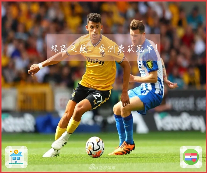绿茵之巅！秀洲荣获冠军！