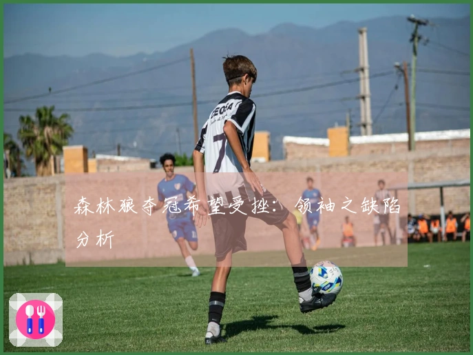 森林狼夺冠希望受挫：领袖之缺陷分析